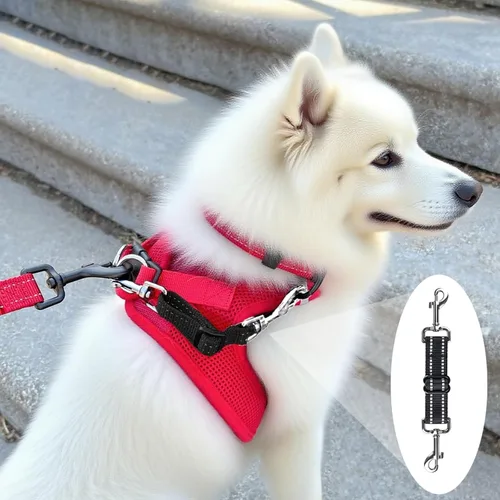 Miniatura 2 de Clip de seguridad para el collar de punta, clip de seguridad para perro, conector de arnés para perro, correa de respaldo de nailon reflectante