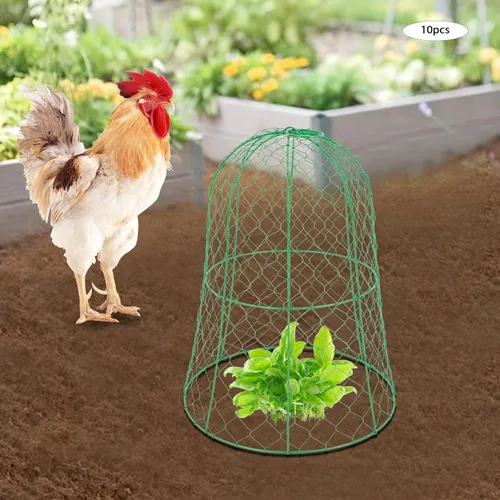 Miniatura 5 de Paquete de 10 Cloches de alambre de pollo para jardín, 12.99 pulgadas de profundidad x 15.75 pulgadas de alto, protectores y cubiertas de plantas