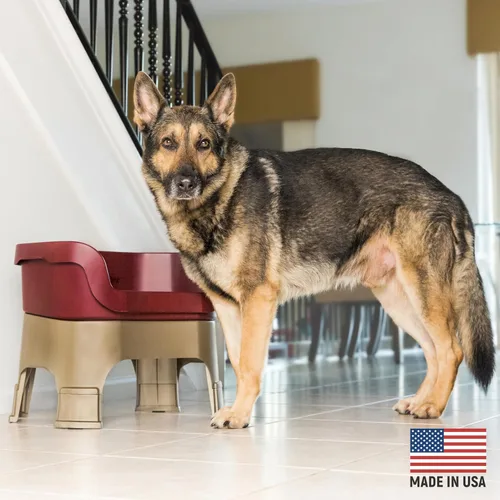 Miniatura 2 de Neater Feeder Deluxe - Tazones elevados para perros grandes a prueba de desorden – Fabricado en Estados Unidos – Soporte elevado para comida