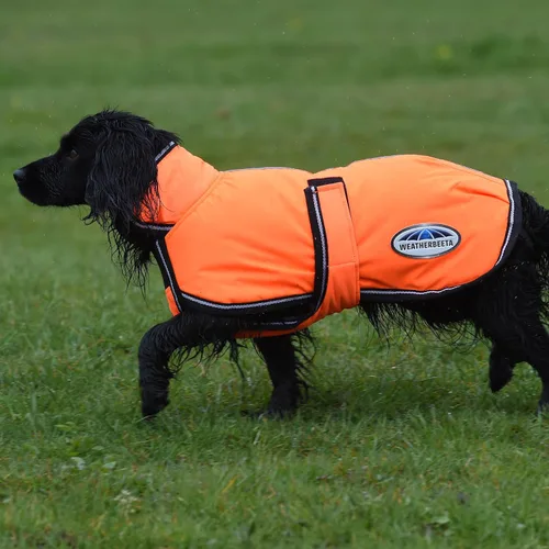 Miniatura 2 de Anorak Weatherbeeta Comfitec reflectante 300D, abrigo para perro Deluxe Lite Orange