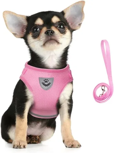 Miniatura 11 de FEimaX Juego de arnés y correa para perro, malla suave ajustable, de fácil control, chaleco ligero para gatos con tiras reflectantes, a prueba