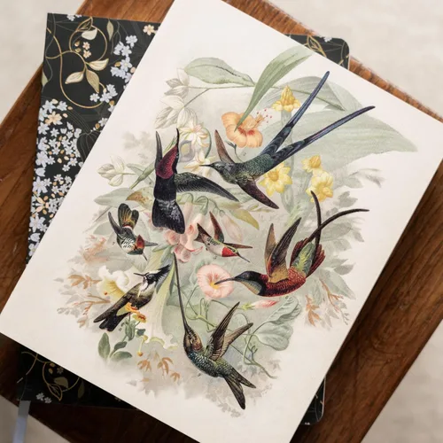 Miniatura 3 de Fringe Studio Classic - Diario grande de tapa dura, "HUMMINGBIRDS", 7.5 x 9.5 pulgadas, 208 páginas, colección Memento (841055)