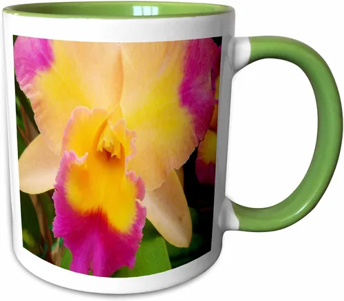 Miniatura 7 de 3dRose Florene Flores – Gorgeous Orquídea – Tazas, Negro/Blanco