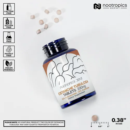 Miniatura 3 de Nootropics Depot Cistanche tubulosa Tabletas 200 mg 180 unidades Mínimo 50% equinacosido + 10% acetósido (verbascósido) Promueve la fuerza