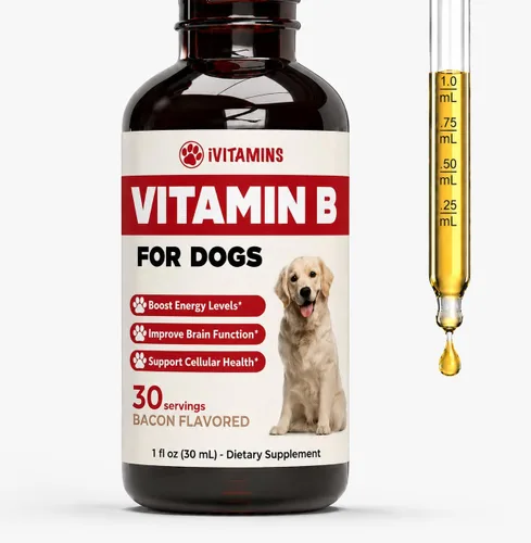 Vitamina B para perros – Complejo de vitamina B para perros – Apoya la energía saludable, el apetito, la vista y mucho más – Vitaminas para perros –
