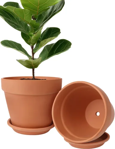 Miniatura 17 de INGOFIN Macetas de terracota de 4 pulgadas con platillos, paquete de 8 macetas de arcilla poco profunda con agujeros de drenaje para suculentas