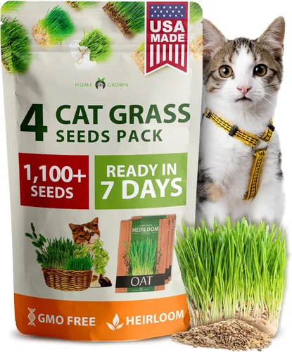 Miniatura 11 de HOME GROWN Mezcla de 3 semillas de hierba para gatos – Semillas de avena, alfalfa y hierba de gato sin OMG Hierba interior para gatos Verdes