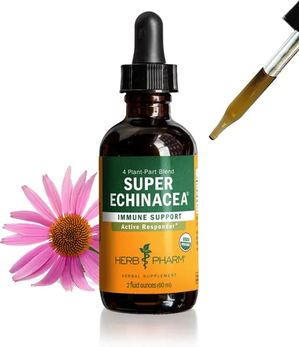 Miniatura 13 de Herb Pharm Extracto Líquido de Súper Equinácea Orgánica Certificada para Apoyo Activo del Sistema Inmunológico - 4 Oz