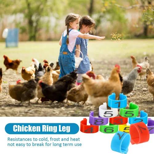 Miniatura 3 de Weewooday 48 bandas de pierna de pollo de 0.630 in, anillos de identificación de patas de pollo, bandas de identificación de aves de corral