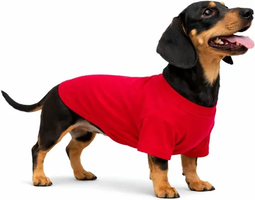 Lovelonglong Ropa para Mascotas Disfraces para Perro Ropa para Perros Salchicha Camiseta en Blanco Camisetas para Perros Salchicha, Corgi 100% Rojo