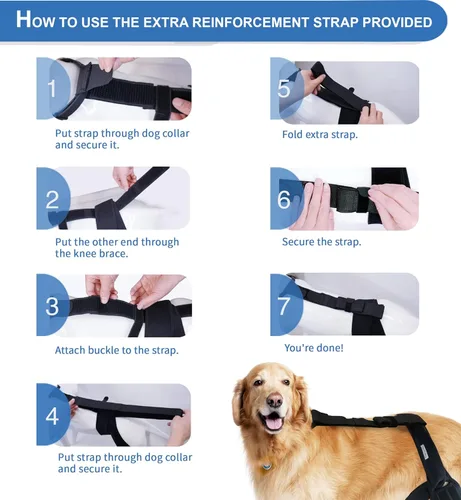 Miniatura 7 de Rodillera para perros – Soporte para patas traseras y patas traseras para perros con osteoartritis, lesiones del ligamento cruzado o recuperación