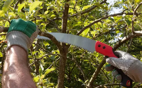 Miniatura 3 de Sierra de poda manual de 11 pulgadas con carcasa de hoja de sierra para recortar ramas de árboles de madera para acampar
