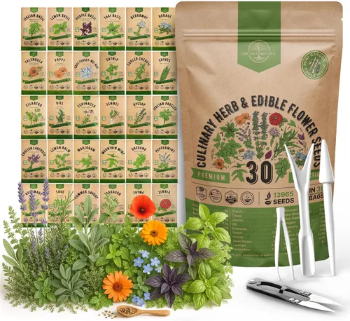 Miniatura 11 de Organo Republic Paquete variado de 12 semillas de hierbas culinarias - 7,355+ semillas criollas, sin transgénicos, para jardinería en interiores