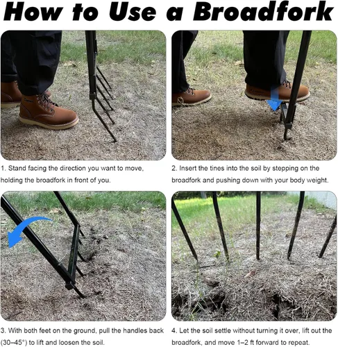 Miniatura 3 de Broadfork - Herramienta de jardín resistente, tenedor de 5 dientes anchos para jardinería, tenedor de jardín en forma de U para aflojar el suelo