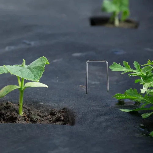 Miniatura 5 de Estribos de jardín, paquete de 100 clavijas de jardín de 6 pulgadas de acero inoxidable resistente en forma de U para anclar pasadores de césped
