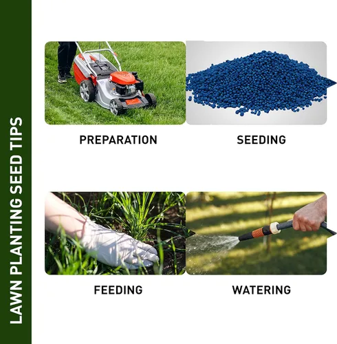 Miniatura 3 de Hancock Seed Co, Micro Clover Seed, bolsa de 20 libras