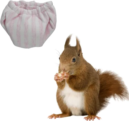 Miniatura 10 de Pañales lavables de ardilla – Pañales de tela reutilizables extra pequeños para mascotas, altamente absorbentes, a prueba de fugas, pantalones 3