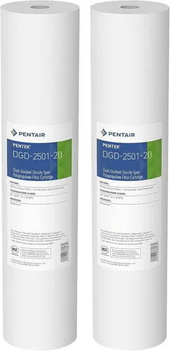 Pentair Pentek DGD-2501-20 Filtro de Agua Big Blue, Cartucho de Repuesto de Filtro de Sedimentos para Toda la Casa de 20 Pulgadas, Polipropileno