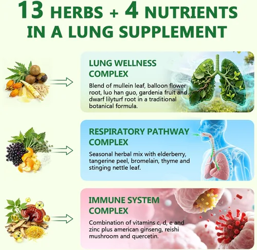 Miniatura 3 de Suplemento Liposomal Lung Cleansemax con Extracto de Hoja de Gordolobo, Extracto de Fruta de Saúco, Quercetina + 13 Hierbas y Vitaminas, Absorción