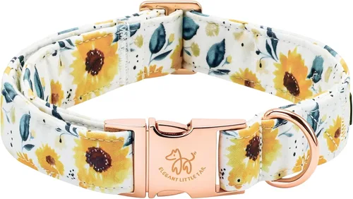 Miniatura 28 de Elegant Little Tail - Collar para perro de otoño, collar floral naranja duradero para perros medianos, ajustable para mascotas macho o hembra