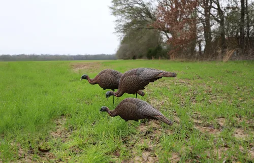 Miniatura 4 de MOJO Outdoors Turkey Hunting Decoys and Accessories