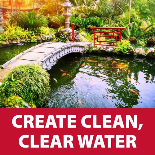 Miniatura 6 de The Pond Guy AllClear G3 - Filtro de presión biológica y clarificador de luz ultravioleta con sistema de retrolavado, filtración biológica