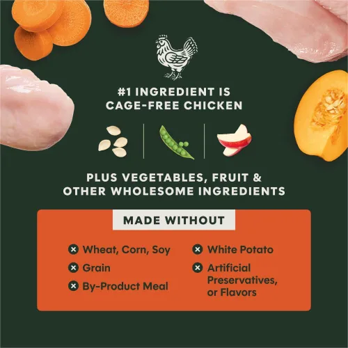 Miniatura 5 de Instinct Raw Boost Gut Health, alimento seco natural para perros con trozos liofilizados, receta sin granos, pollo real, bolsa de 3.5 libras