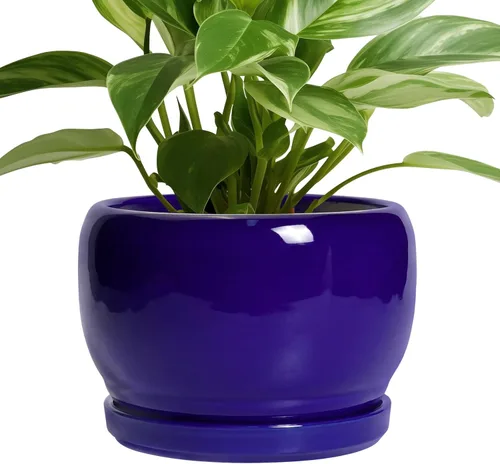 Miniatura 61 de SQOWL Macetas de cerámica – Maceta de 6 pulgadas con orificio de drenaje y bandeja, maceta redonda para plantas de interior, maceta decorativa