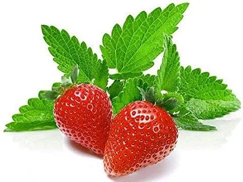 100 semillas de hierbas de menta y fresa, sin OMG, fragantes, raras, cultivadas en EE. UU., Mentha piperita