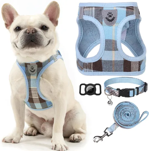 Miniatura 21 de EXPAWLORER Arnés Clásico de Plátanos para Cachorros - Juego de Arnés y Correa para Perros Pequeños - Juego de Collar y Correa para Perros con Azul