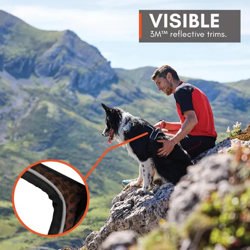 Miniatura 9 de Non-stop dogwear Rock Arnés ajustable para perros pequeños con 3 clips para correa, asa y reflectante, negro/naranja, talla XS