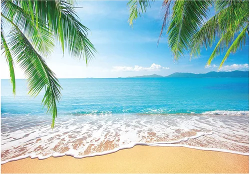 Allenjoy Fondo de playa tropical de 7 x 5 pies, diseño de hojas de palmera de Luau, isla del océano, escena del mar, telón de fondo para fotografía
