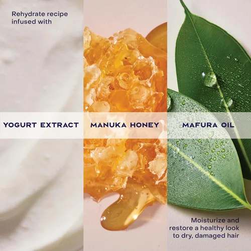 Miniatura 7 de SheaMoisture Hydrate & Repair Acondicionador de Miel de Manuka y Yogur Acondicionador para Cabello Dañado Acondicionador de Manteca de Karité 13 oz