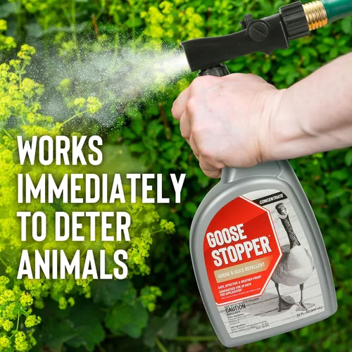 Miniatura 4 de Tapón de ganso, repelente líquido de animales, totalmente natural, eficaz durante todo el año, seguro para personas y mascotas, sin productos