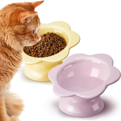 Zhehao 2 cuencos elevados de cerámica para gatos, lindos cuencos elevados de comida para gatos, platos inclinados para mascotas, para proteger la