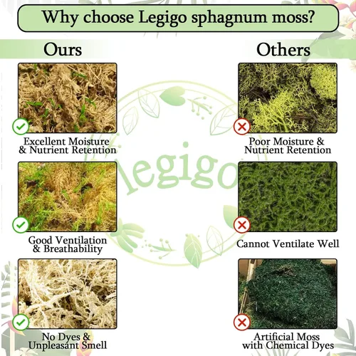 Miniatura 4 de Legigo 100 g de musgo natural esfagno para plantas, mezcla para macetas de orquídea de fibra larga 4QT, musgo esfagno seco para plantas
