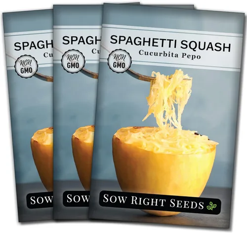 Miniatura 9 de Sow Right Seeds - Semillas de calabaza espagueti para plantar - Paquete de reliquia sin OMG con instrucciones para plantar y cultivar un huerto al