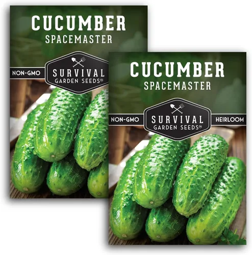 Miniatura 11 de Semillas de pepino Spacemaster para plantar Variedad compacta autóctona sin OMG para jardines de espacios pequeños – Semillas de jardín