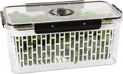 Oggi Recipientes para productos para refrigerador con seguimiento de tiempo, ideales para almacenamiento de frutas, bayas y verduras, lechuga Keeper