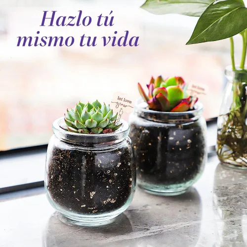 Miniatura 7 de Syntic Paquete de 40 tarros pequeños de vidrio con tapas de corcho, tarros de masón vacíos de 7 onzas para hacer velas, recipiente de yogur