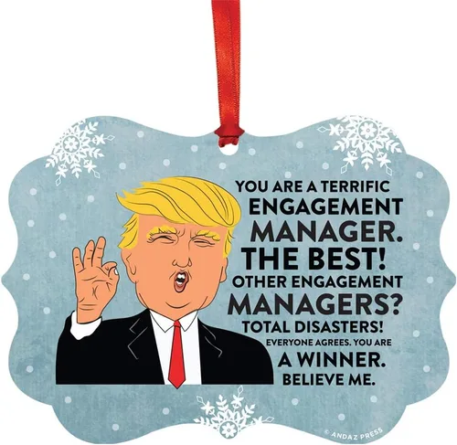 Miniatura 77 de Andaz Press Presidente Donald Trump Fancy Frame Recuerdo Adorno de Navidad Regalo de broma Ejecutivo de Cuenta, 1 paquete, Divertidas Ideas