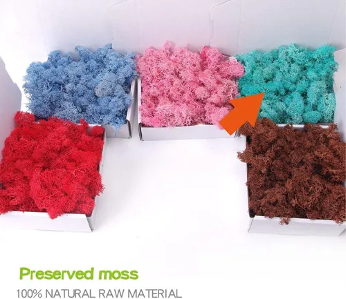 Miniatura 2 de Musgo preservado, musgo de 3.5 onzas para manualidades, decoración de musgo sintético, musgo verde natural para decoración de pared de floristería