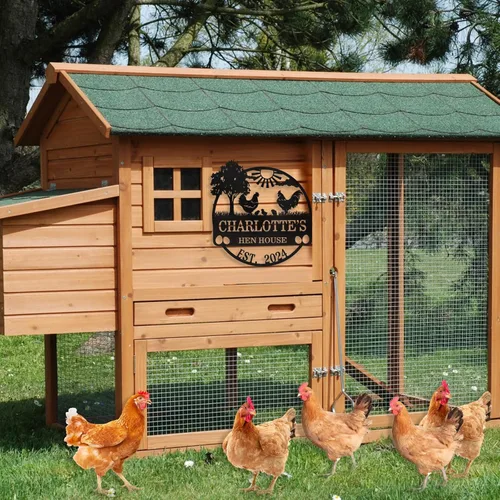 Miniatura 5 de Letrero de Pollo Divertido Personalizado, Letrero Personalizado de Gallinero Decoración de Pared, Letreros de Granja de Metal para Exteriores