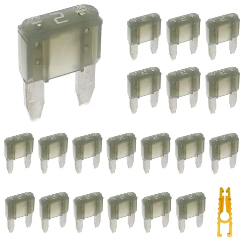 20 piezas de mini fusible de hoja y 1 extractor de fusibles 2A 32V golpe rápido para fusibles de repuesto para automóvil/RV/camión/motocicleta/barco