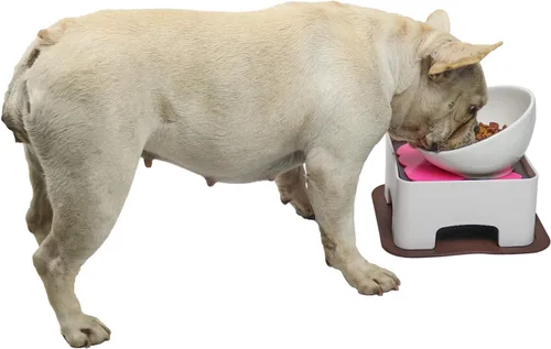 Cuenco elevado de cerámica para perros, juego de cuencos elevados ajustables para perros y gatos, antideslizante, plato de alimentación de mascotas
