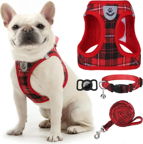 Miniatura 31 de EXPAWLORER Arnés Clásico de Plátanos para Cachorros - Juego de Arnés y Correa para Perros Pequeños - Juego de Collar y Correa para Perros con Azul