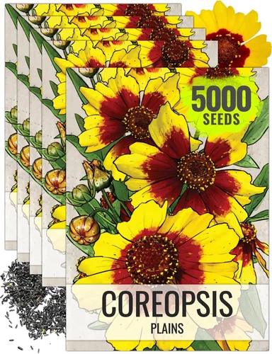 Miniatura 10 de Seed Needs Coreopsis Plains - Semillas para plantar flores amarillas al aire libre, 1 paquete