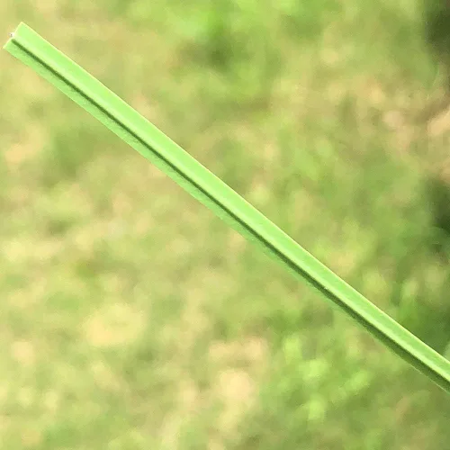 Miniatura 5 de 200 lazos para plantas de 6 pulgadas para plantas, enredaderas y cordones de envoltura o árbol de Navidad