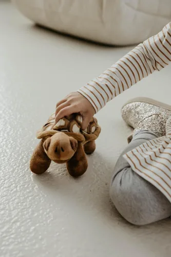 The Petting Zoo Peluche de tortuga del desierto, regalos para niños, animales salvajes de la vida silvestre, tortuga del desierto de 9 pulgadas