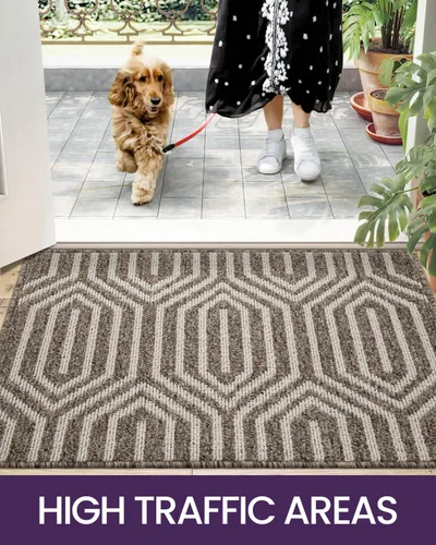 Miniatura 7 de DEXI - Alfombras para puerta de entrada, antideslizante, lavable, absorbente, resistente a la suciedad en el interior, alfombra de entrada de perfil